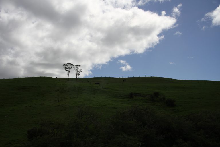 Auf zur BoI mit Zwischenstop in Kawakawa