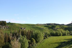 Waitomo Landschaft 2