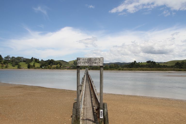 Morepork Track – Whananaki Coastal Walkway