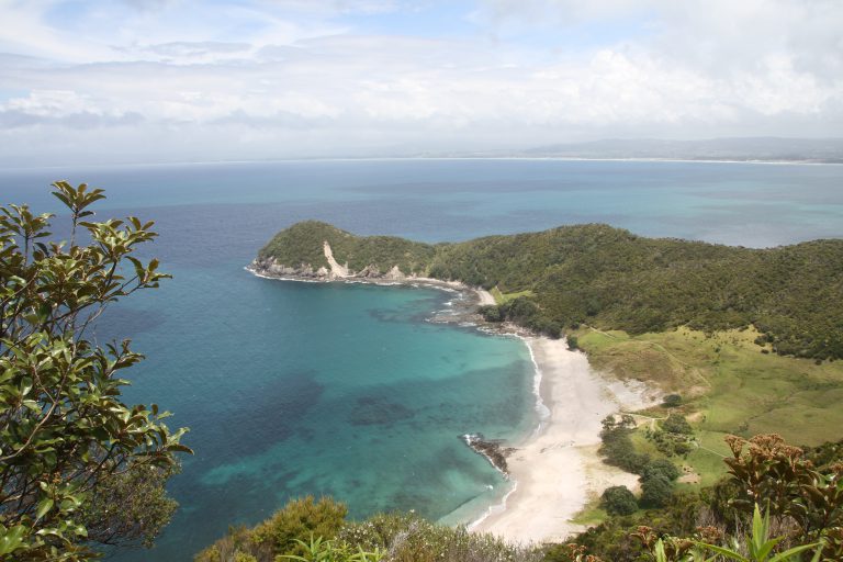 Bream Head Track – Ruakaka