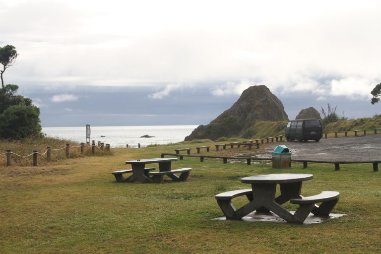 Brynderwyn Walkway – Te Arai Point