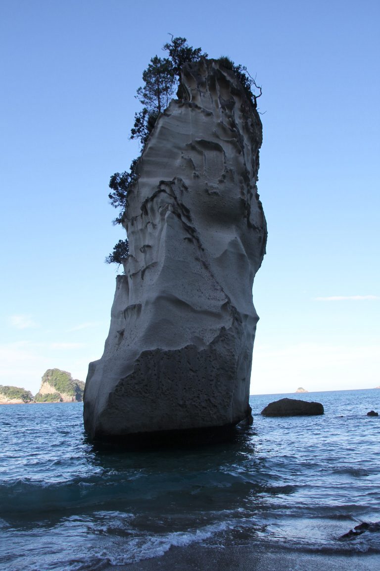 Coromandel Tag 1