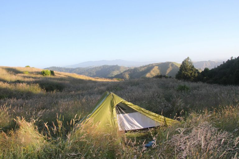 Auf dem Weg nach Waitomo