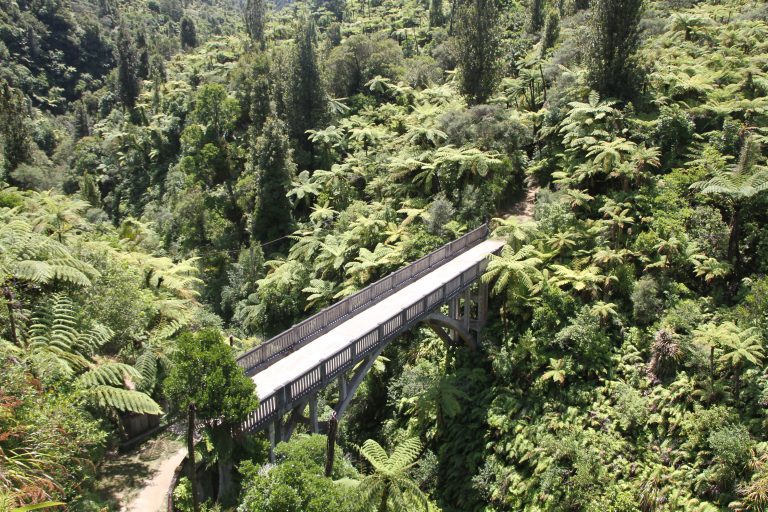 Johnsons Campsite bis zur Bridge to Nowhere