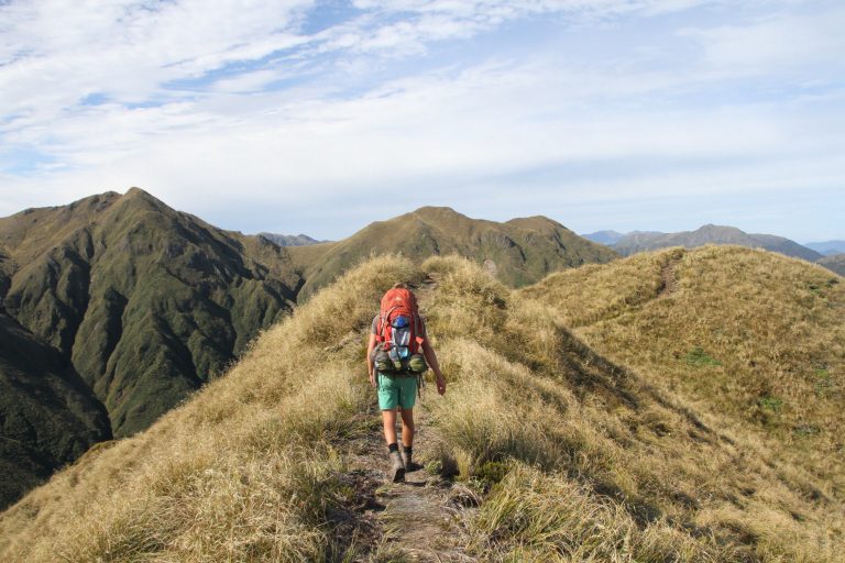 Tag 2 in den Tararuas: Matawai Hut bis zur Nicols Hut