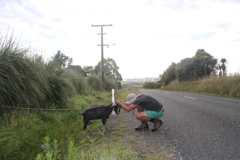 Ein Stück weiter als bis nach Palmerston North