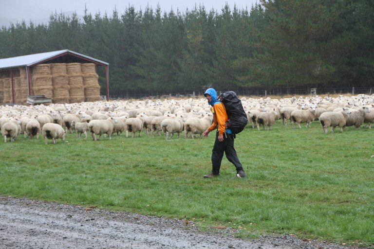 Ein bisschen Regen mal zur Abwechslung