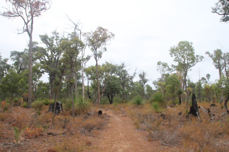 Zum Harris Dam Shelter