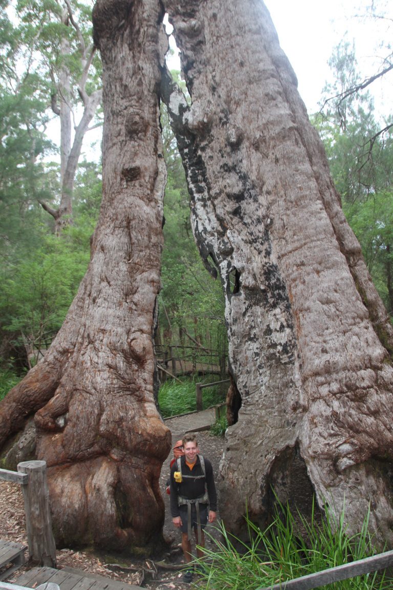 Zum Frankland River Shelter