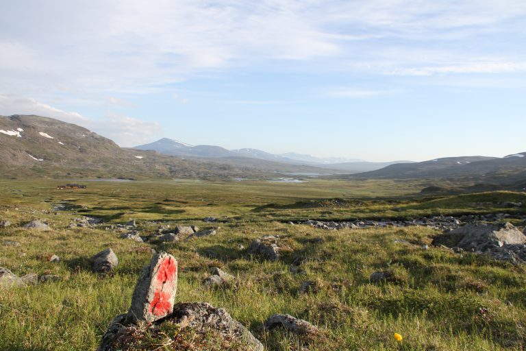 Tent – Dærtahytta | 35km